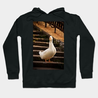 duck pattern Hoodie